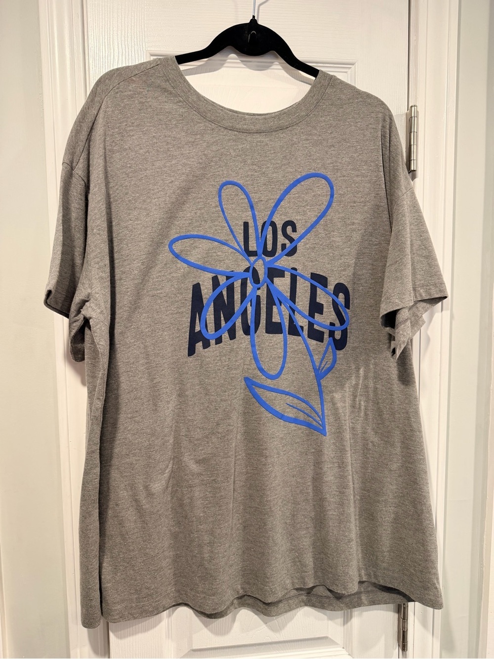 NWOT Anthropologie Size XL Oversized Graphic T-Shirt Gray Los Angeles Floral